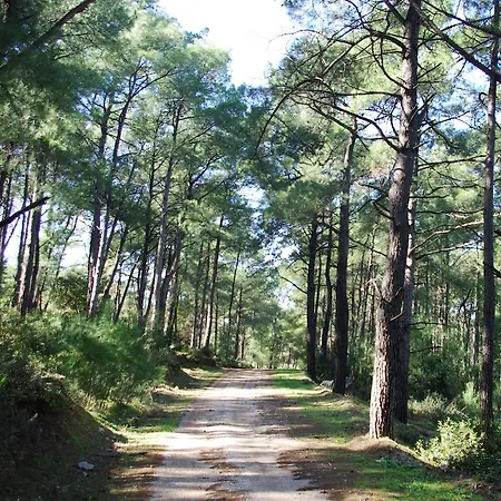 Thomas Monolithos (Rhodes)